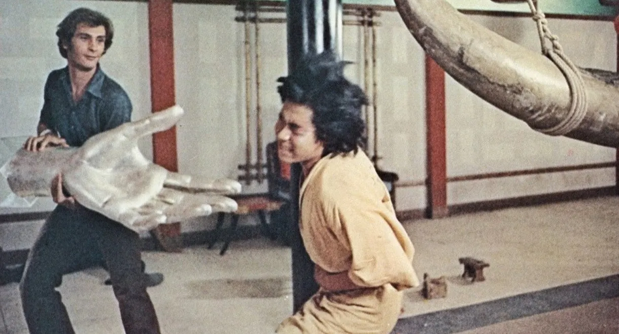 Mr. Hercules Against Karate