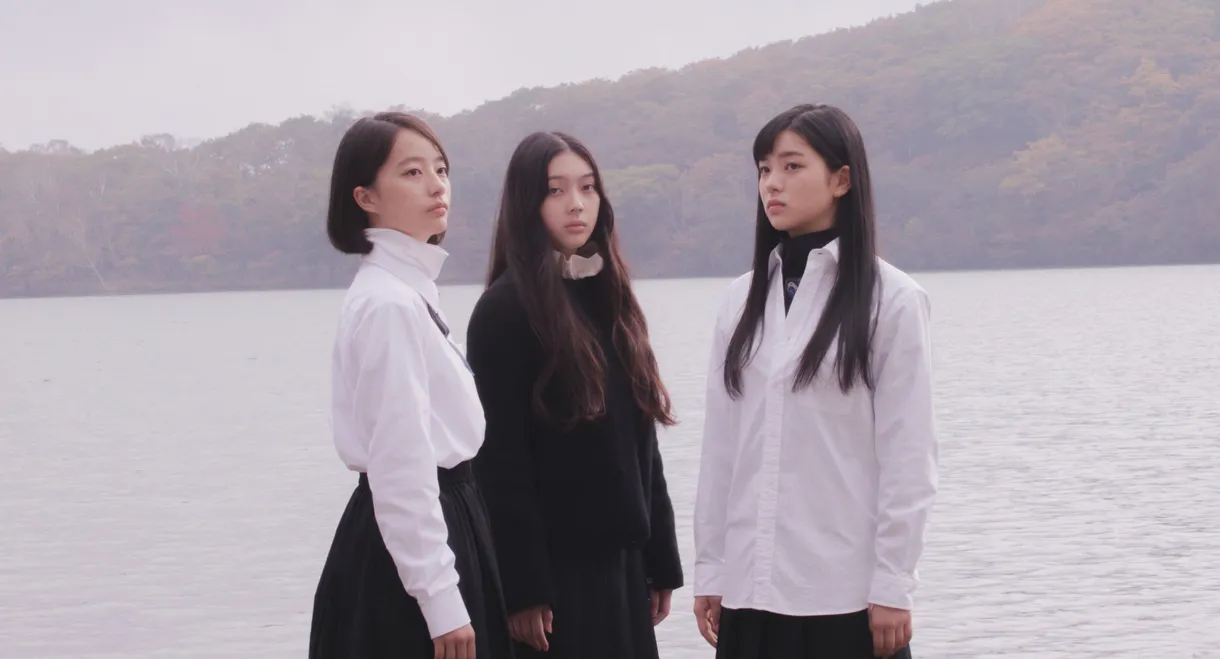 White Flowers and Fruits