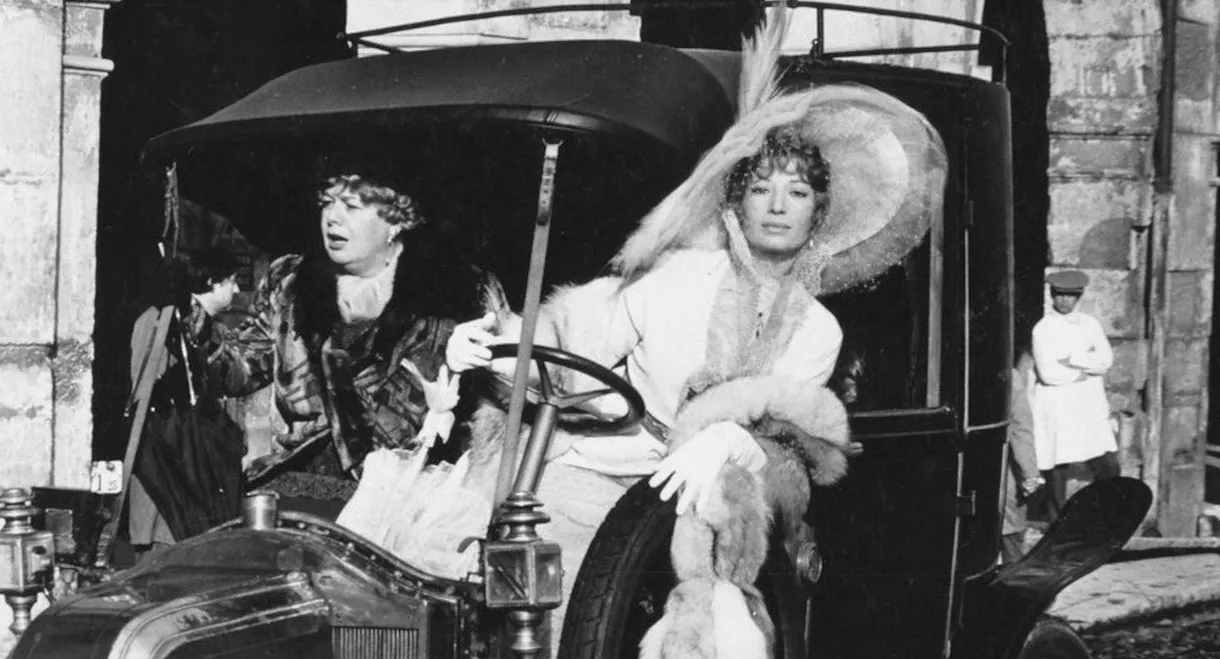 Mimì Bluette... Flower of My Garden