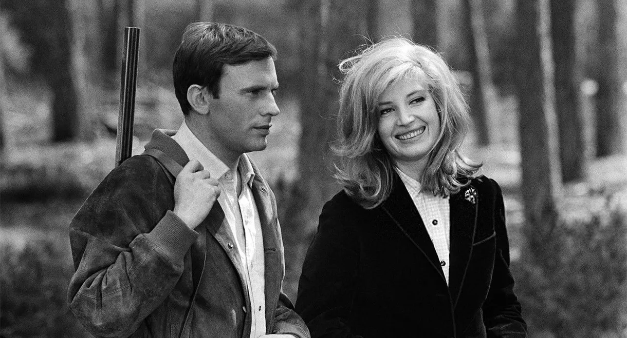 Nutty, Naughty Chateau