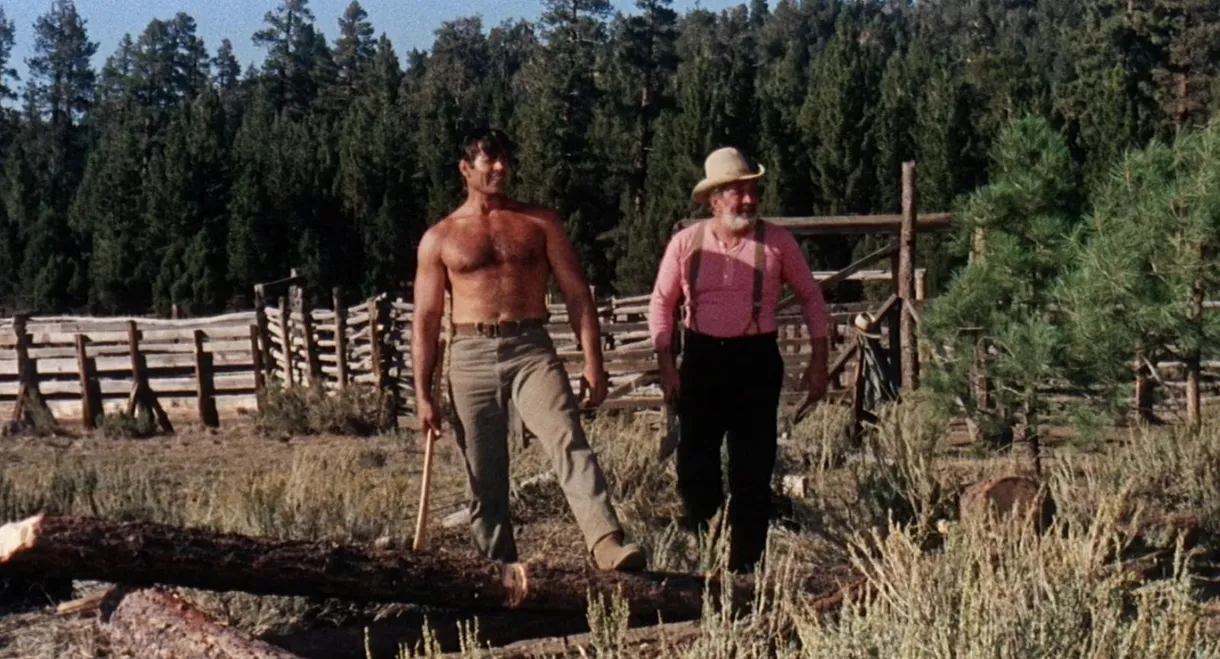 The Night of the Grizzly