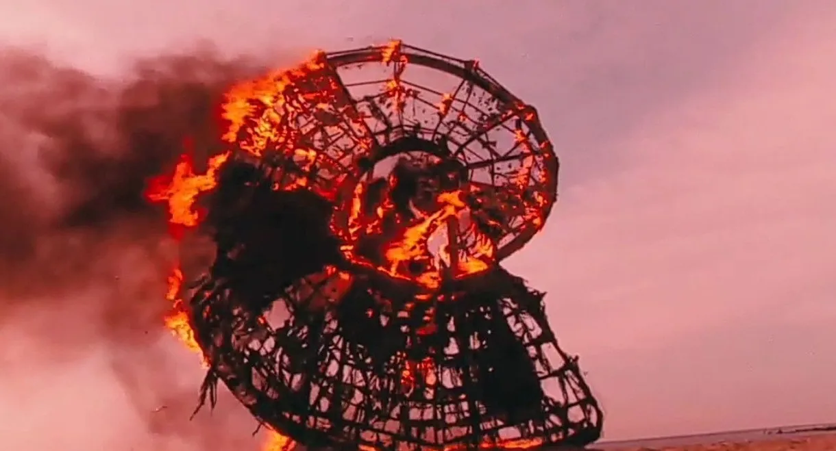 I've Heard the Ammonite Murmur