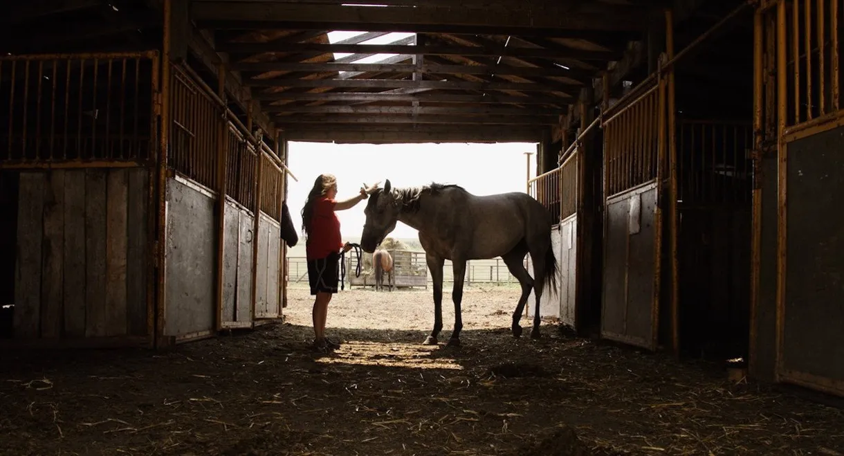 Aitamaako'tamisskapi Natosi: Before the Sun