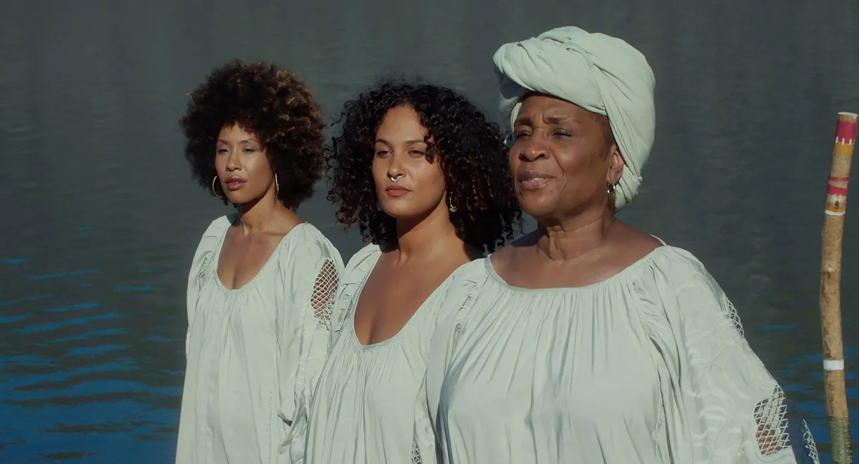 Mémoires Métissées