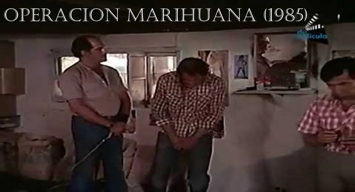 Operation Marihuana