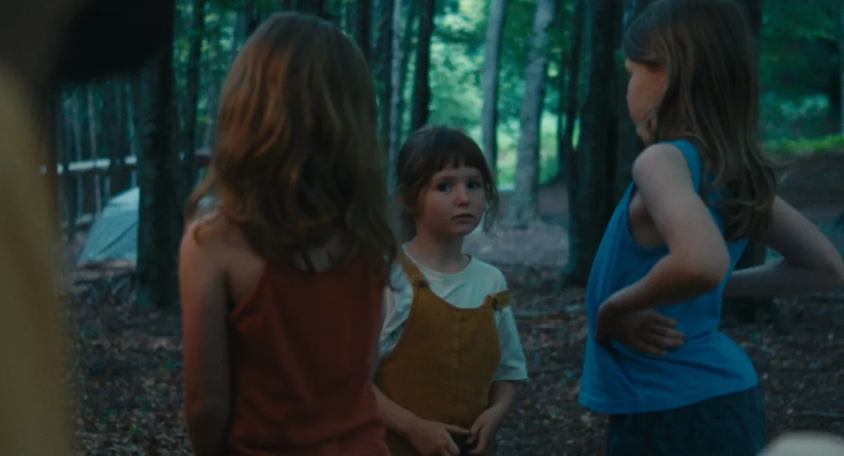 Dissection of An Incoherence in Crisis