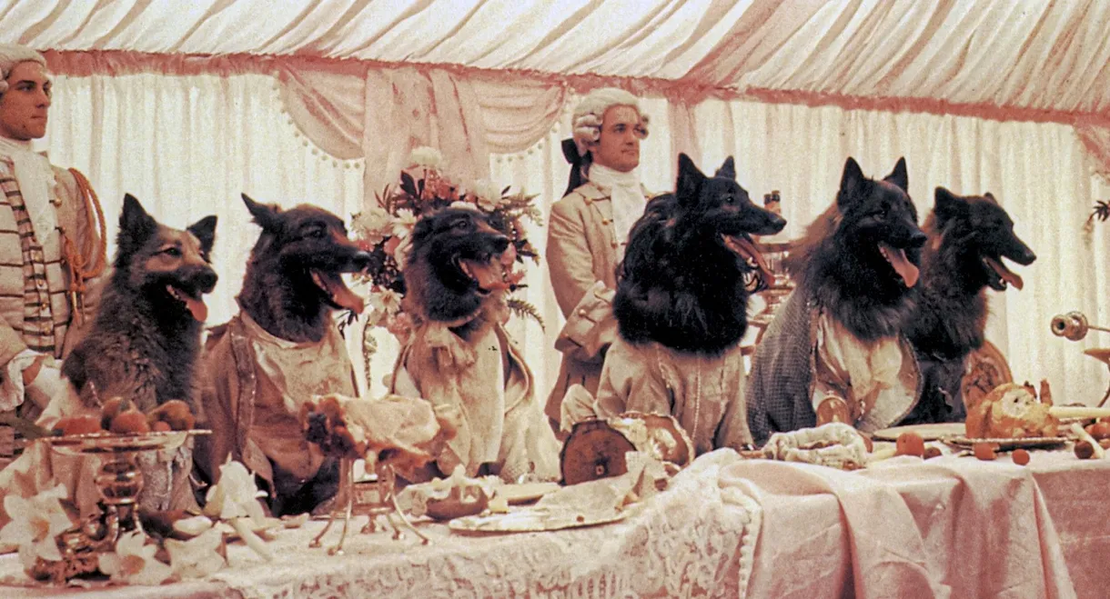 The Company of Wolves