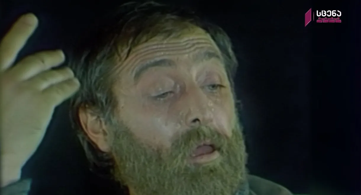 A Holiday of Solitude