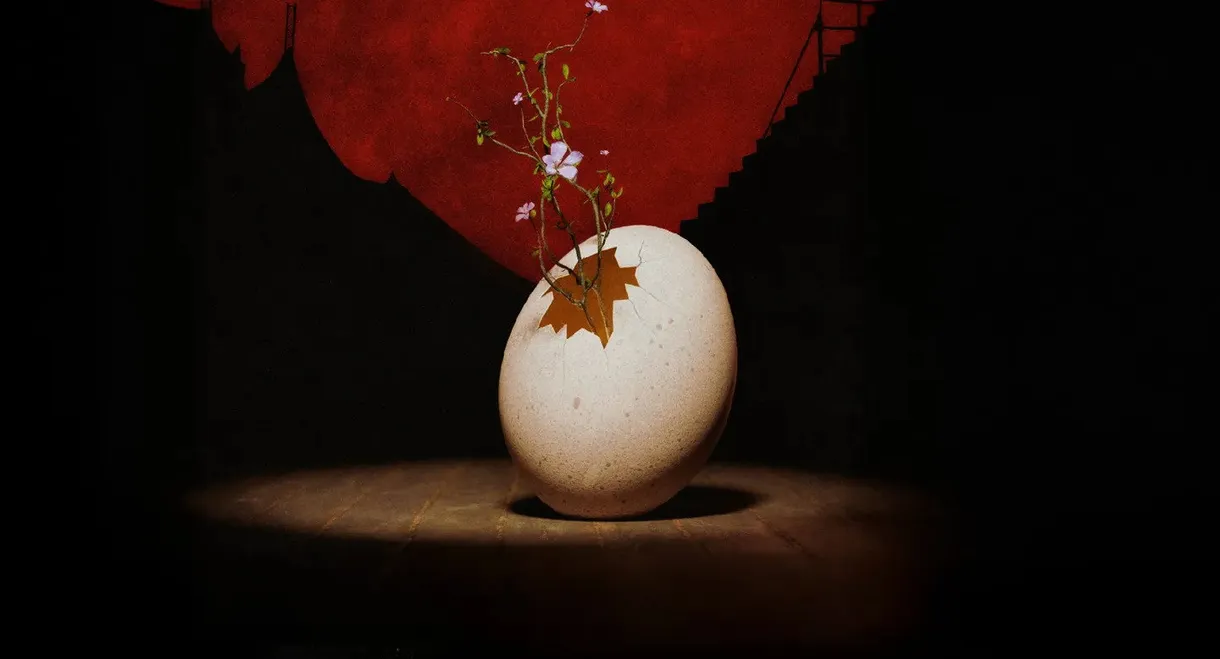 « Le Petit Cirque » at the Nuits de Fourvière