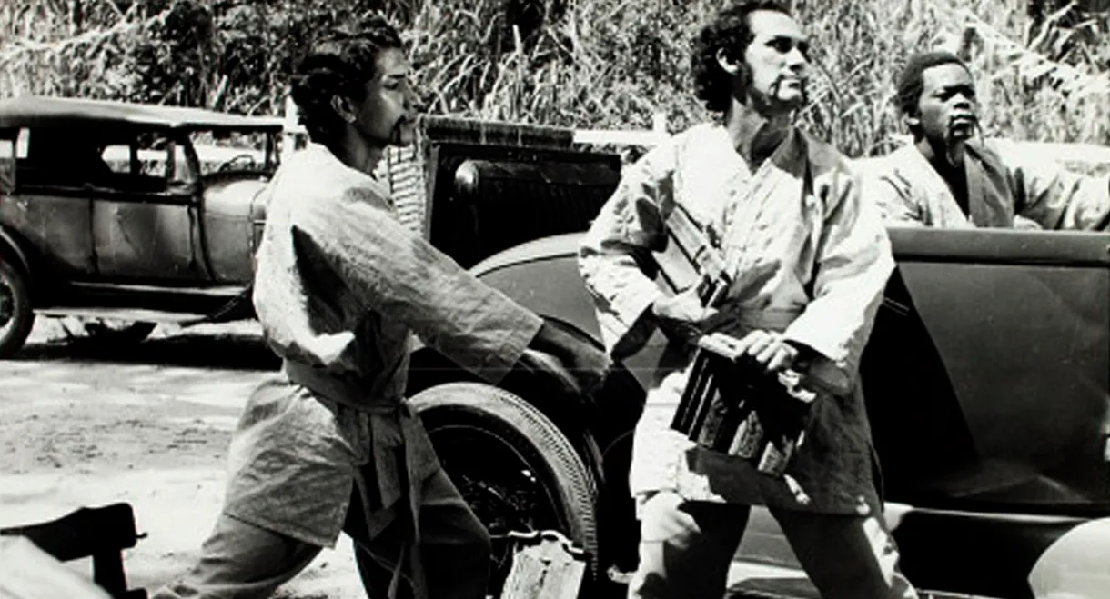 Robin Hood - The Trapalhão of the Forest