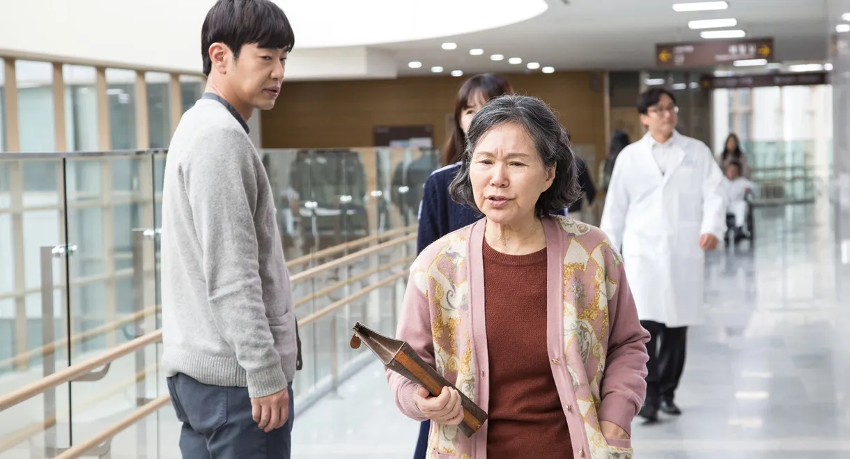 Notebook from My Mother