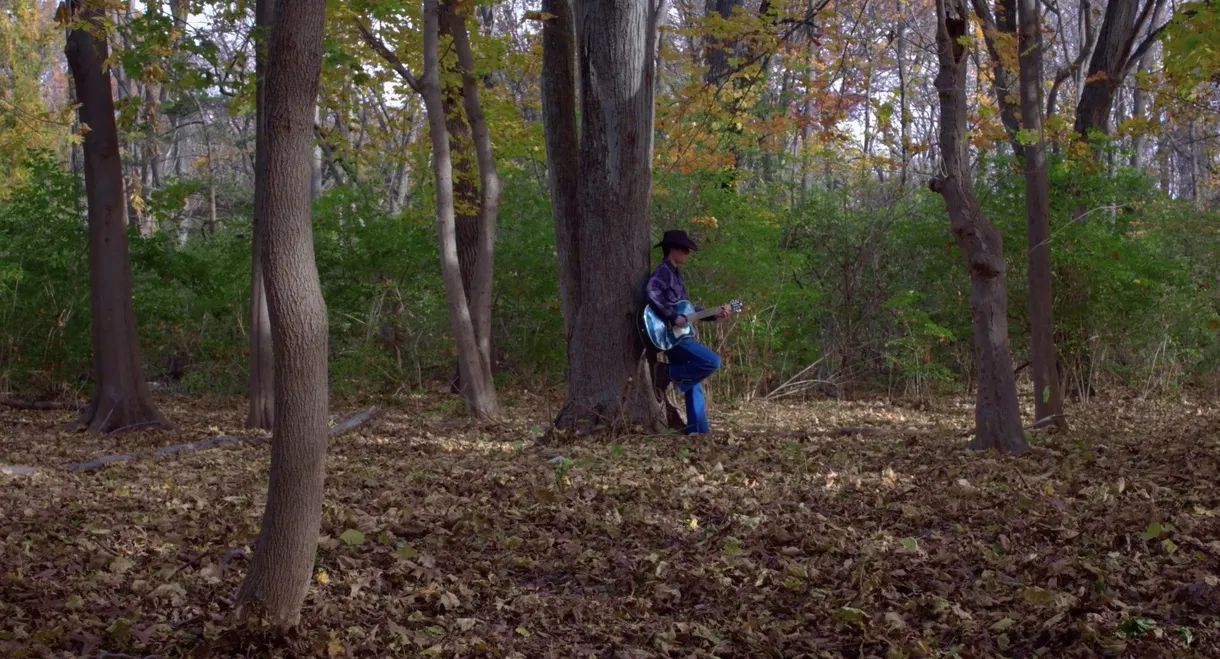 The Devil Went Down to Georgia