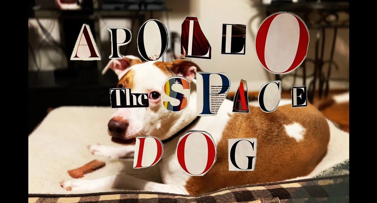 Apollo: The Space Dog