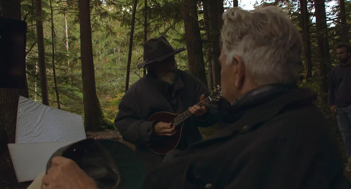 The Man with the Gray Elevated Hair