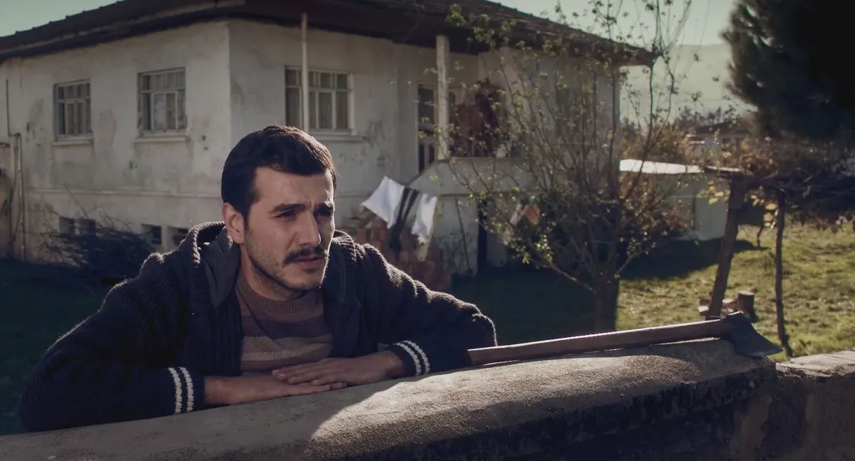 All The Bliss Is Possible