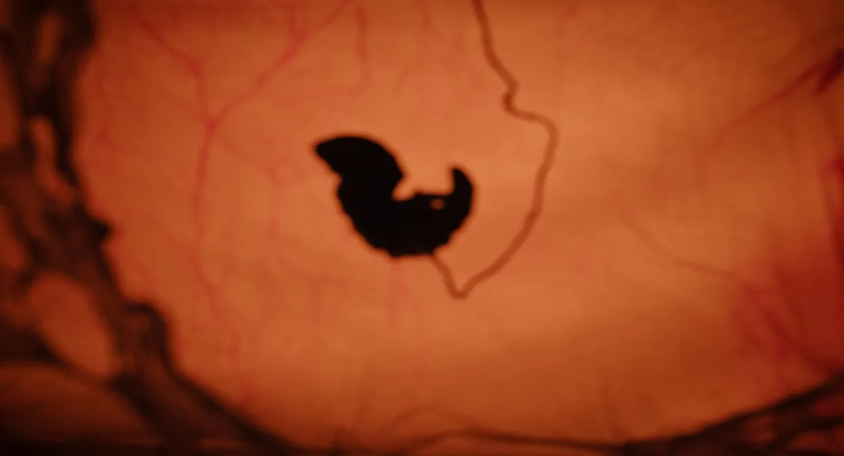 L'Incubo di Moonfish Island