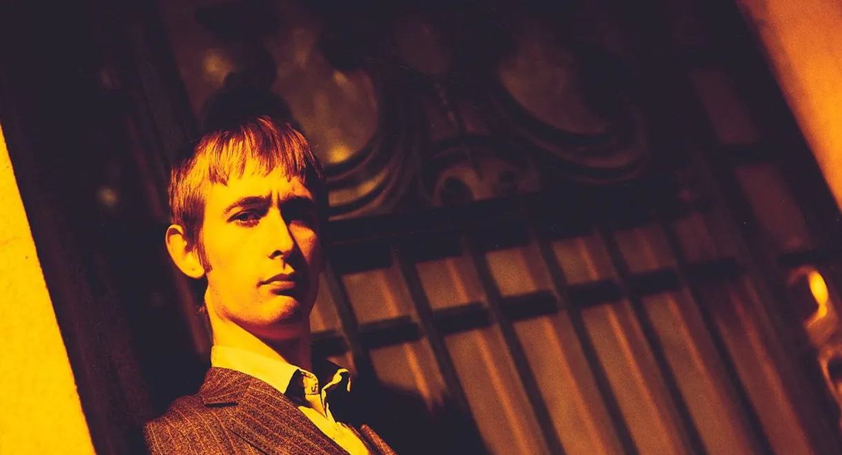 The Divine Comedy - Philharmonie de Paris 2015.