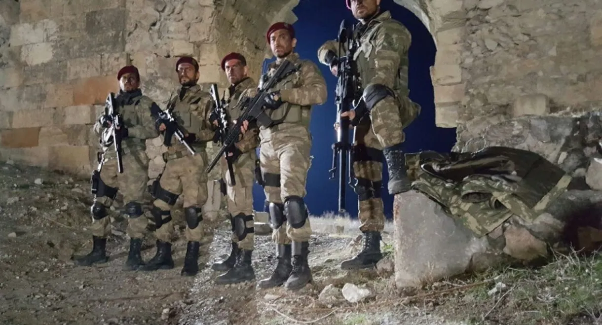 Bordo Bereliler: Suriye