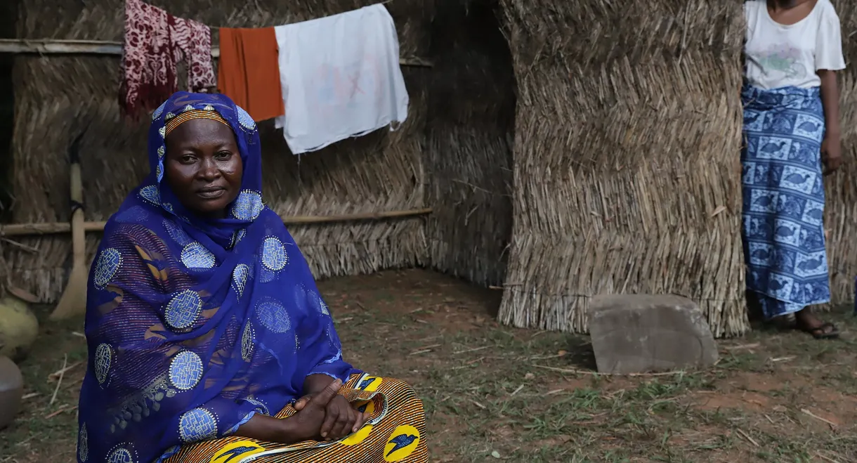 Certain Winds from the South