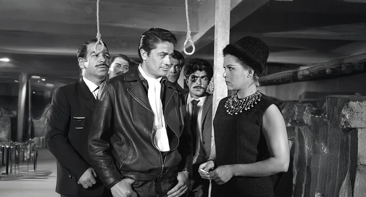 Şafakta Üç Kurşun