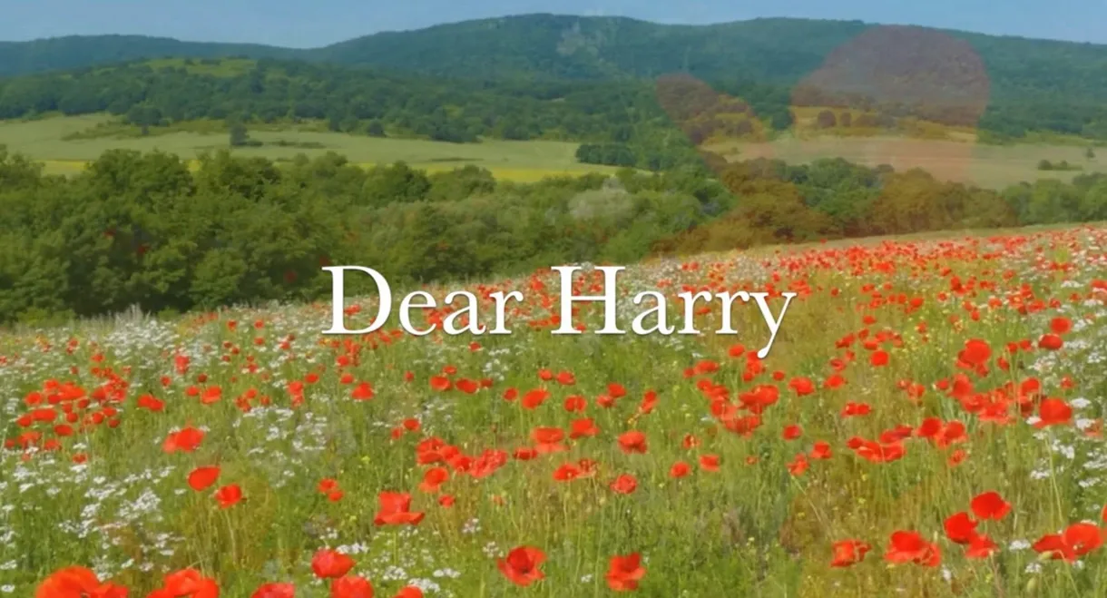 Dear Harry
