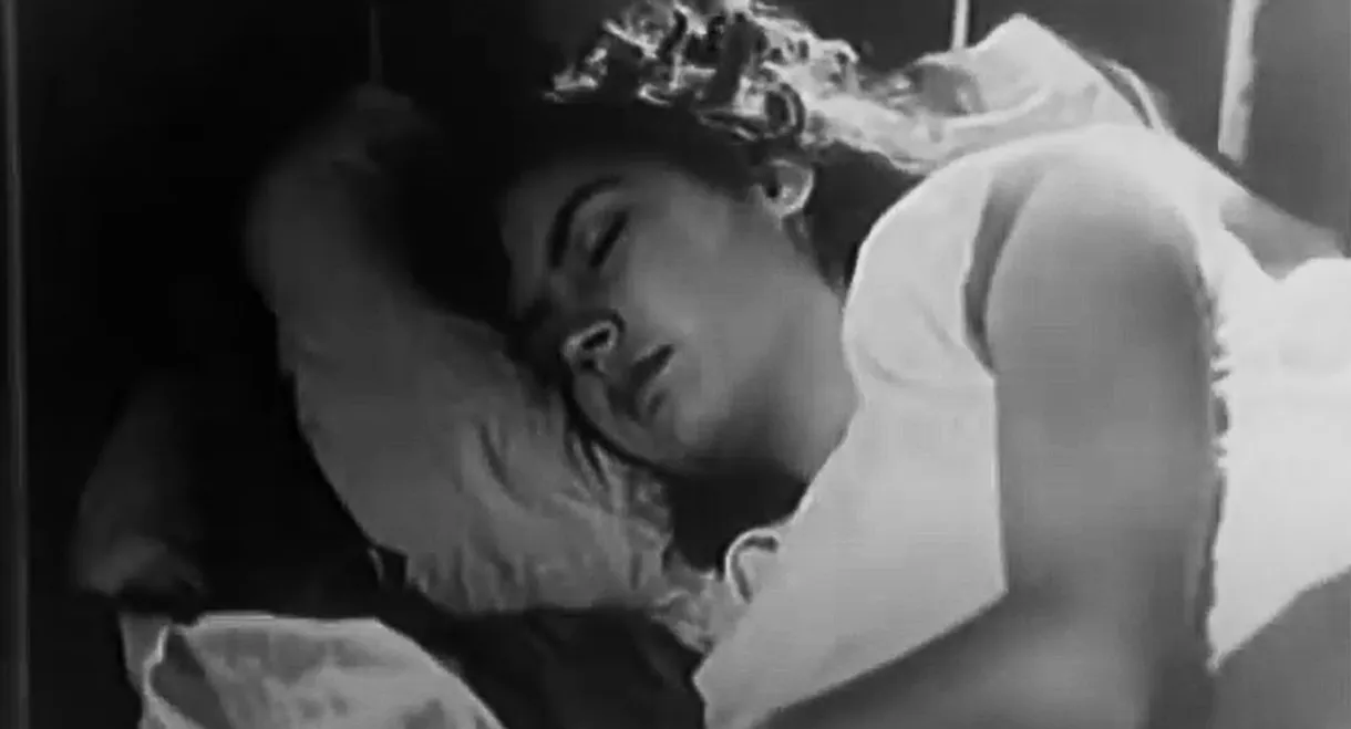 Birds Without a Nest