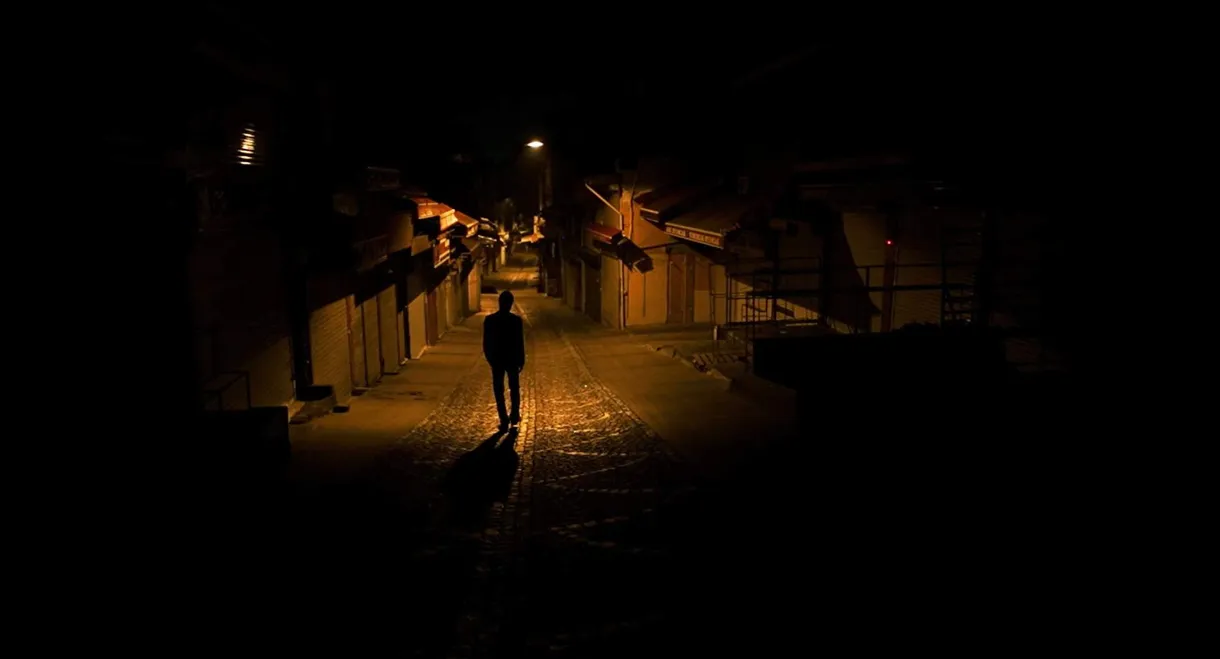 A Short Film About Wong Kar Wai