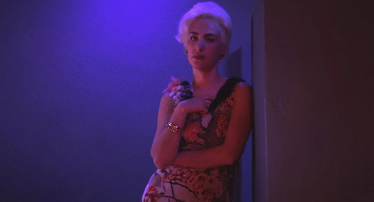 In the Darkness of the Night