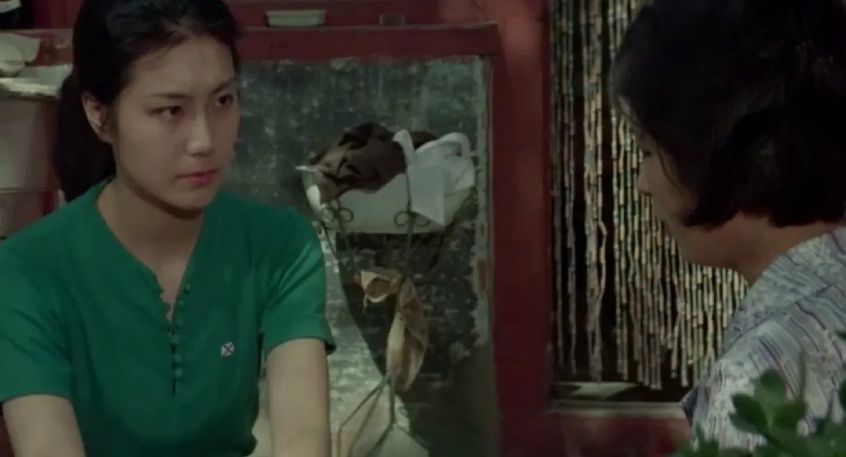 A Symphony of Cooking Utensils