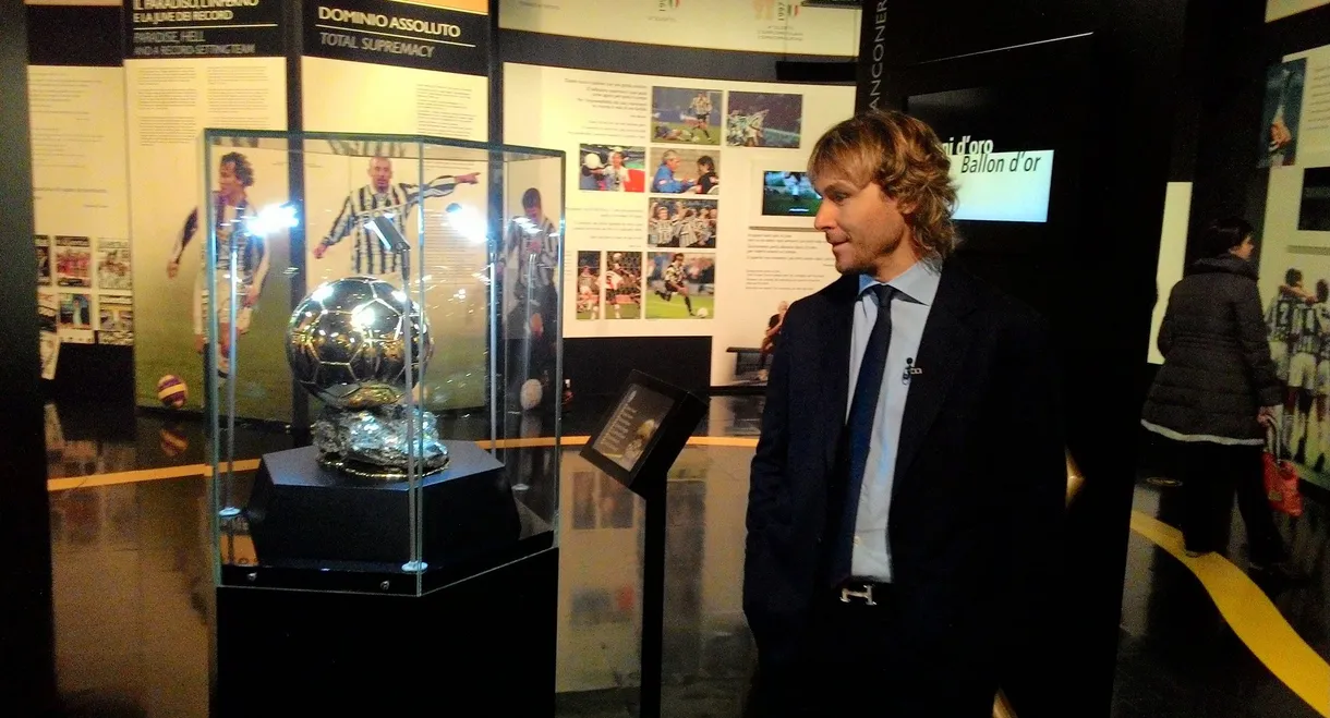 Se lvíčkem v srdci