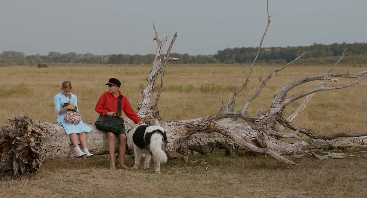 The Brave Adventures of a Little Shoemaker