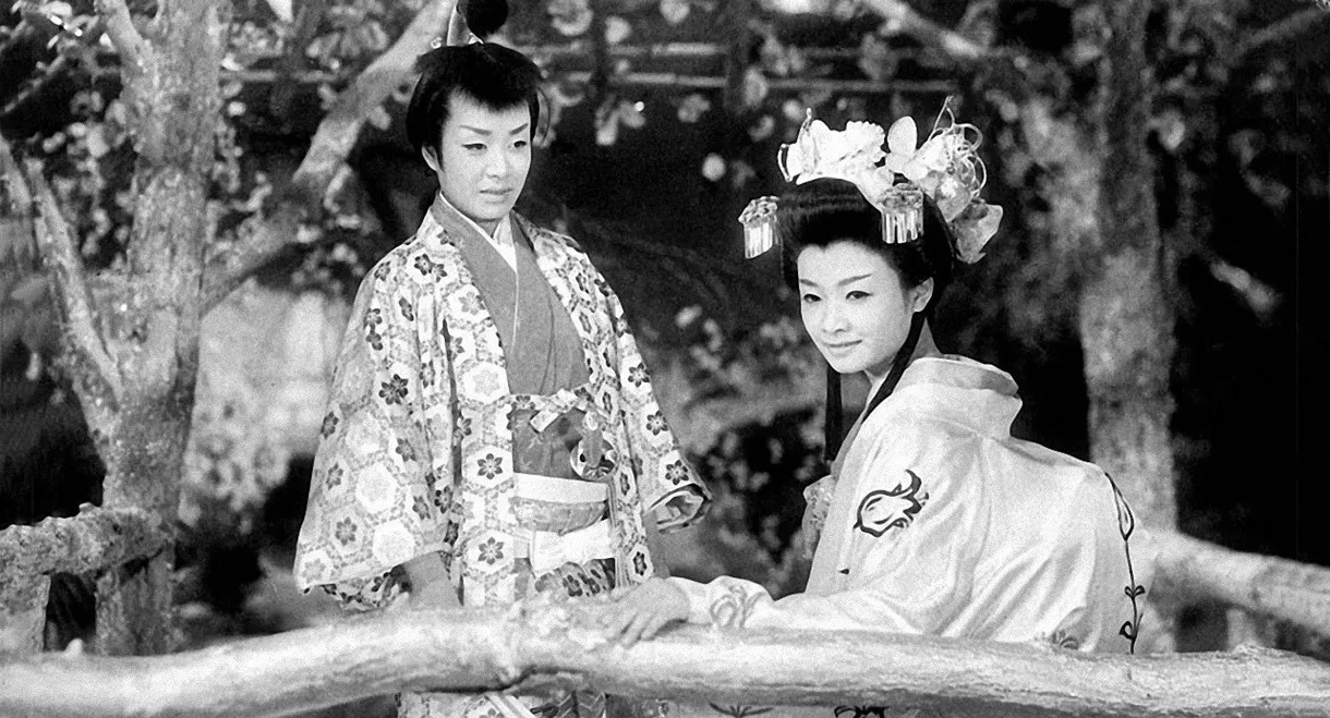 The Princess of Badger Palace