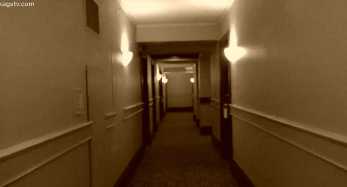 The Hotel Tapes