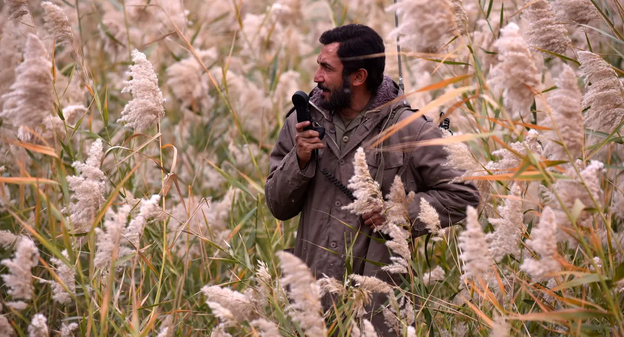 The Situation of Mehdi