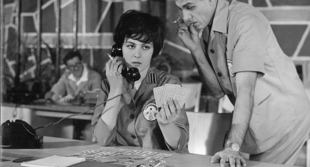 Master of All Trades