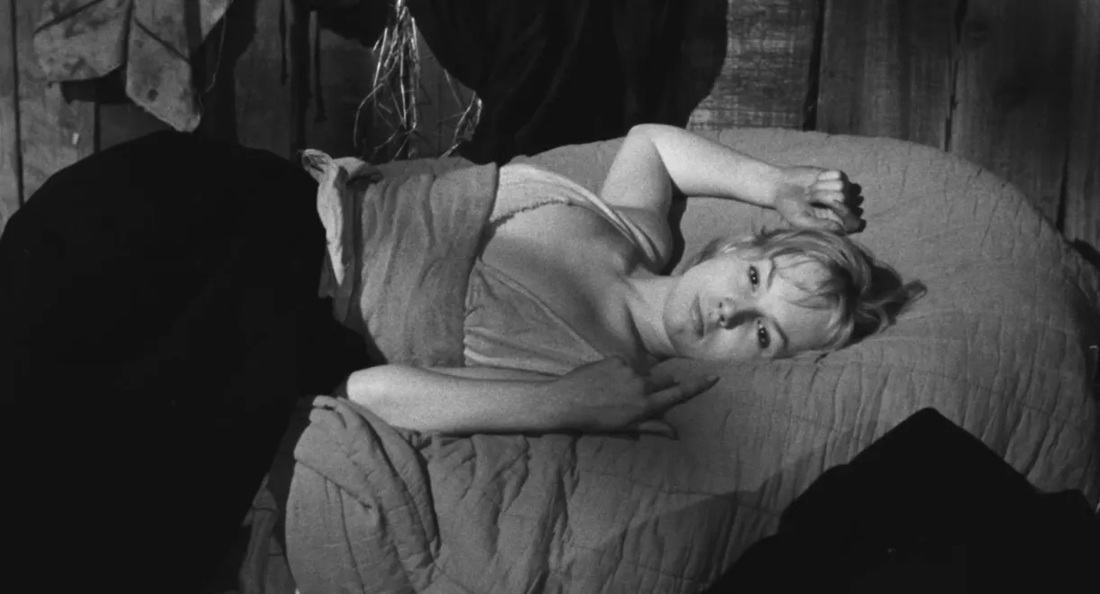 The Witches of Salem