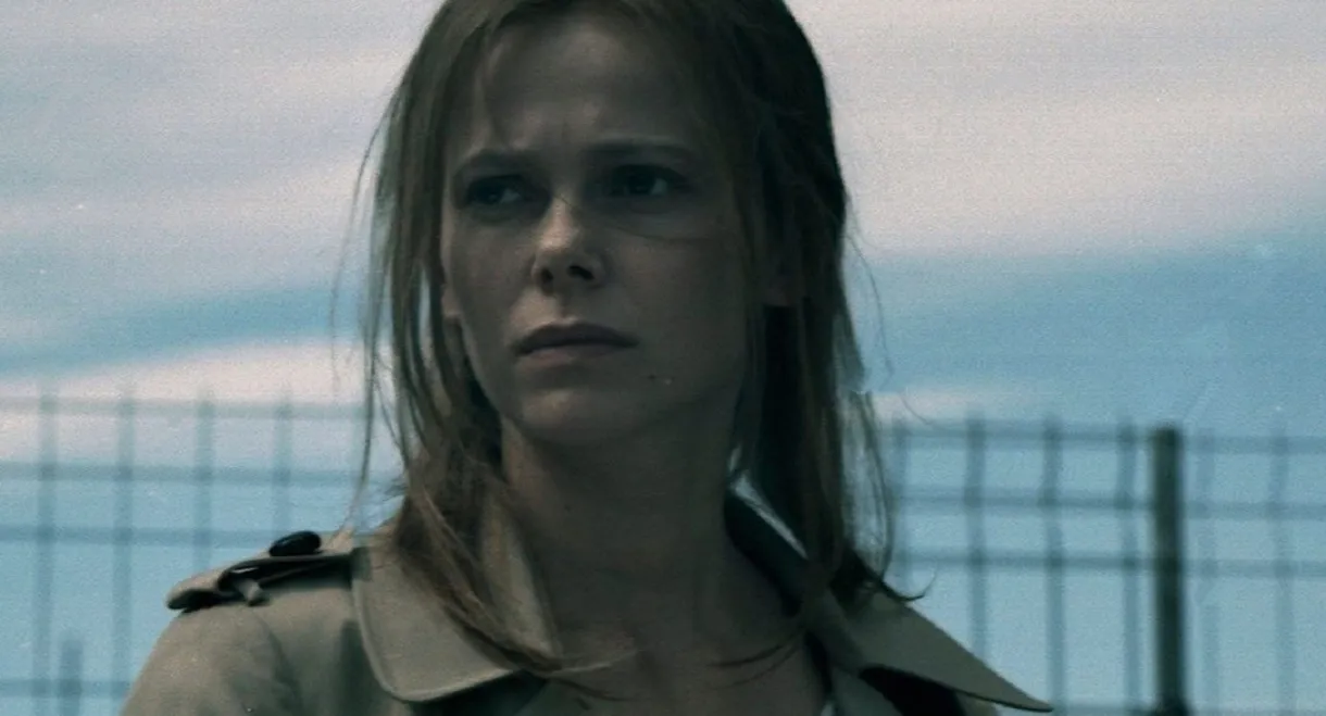 Tartarughe sul dorso