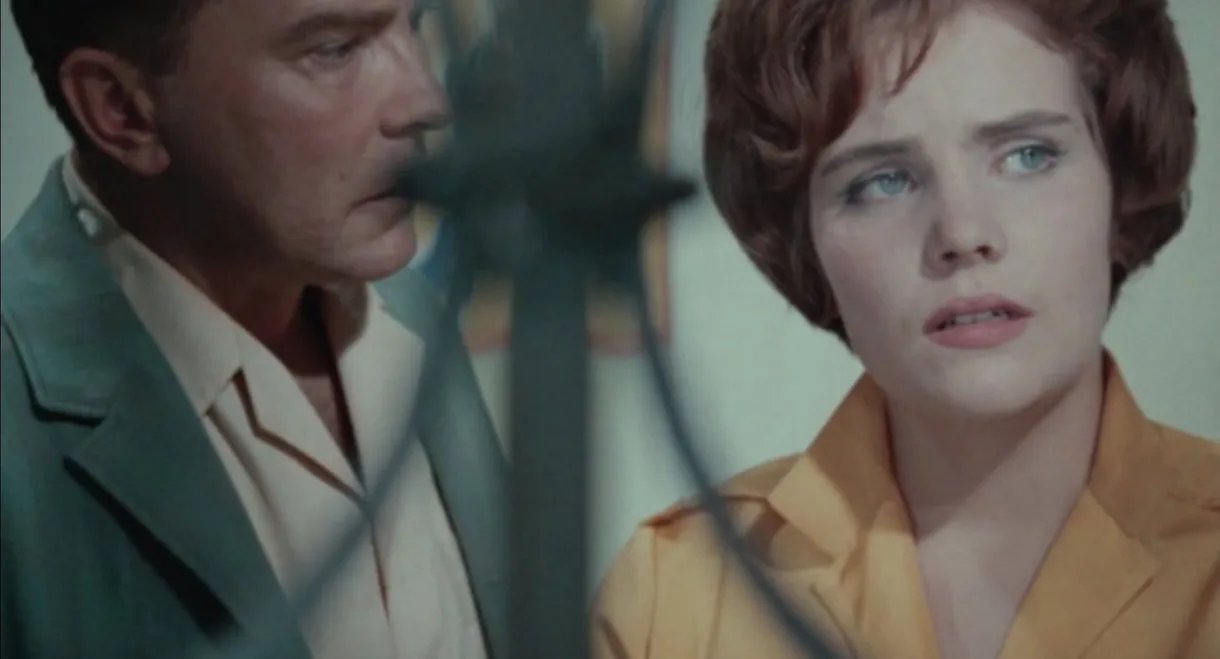 Hills Like White Elephants