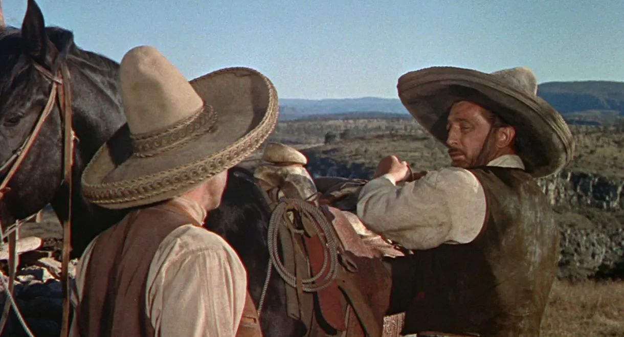 The Wonderful Country