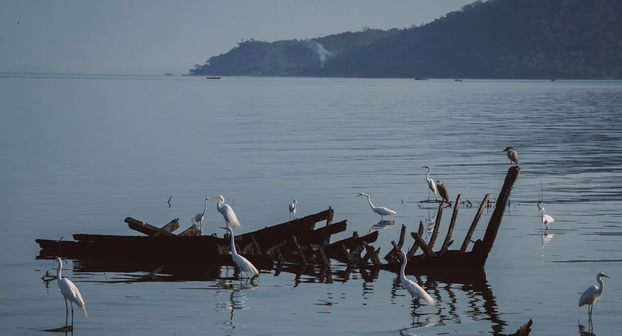 Antes do Último Adeus