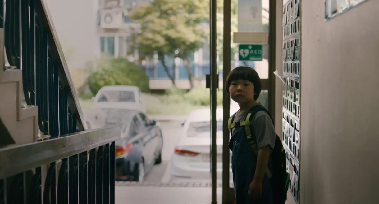 When Mushroom Blooms