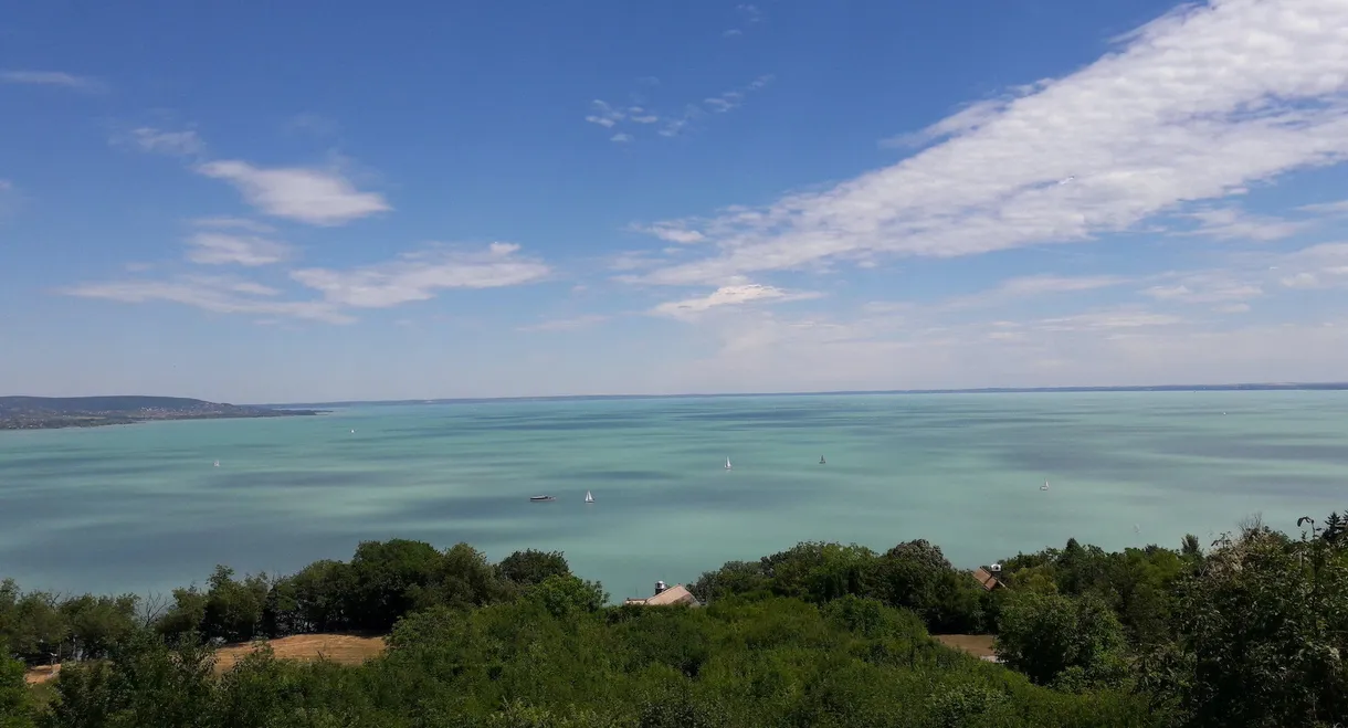 Terra Mater: Der Plattensee - Ungarns Wasserwildnis