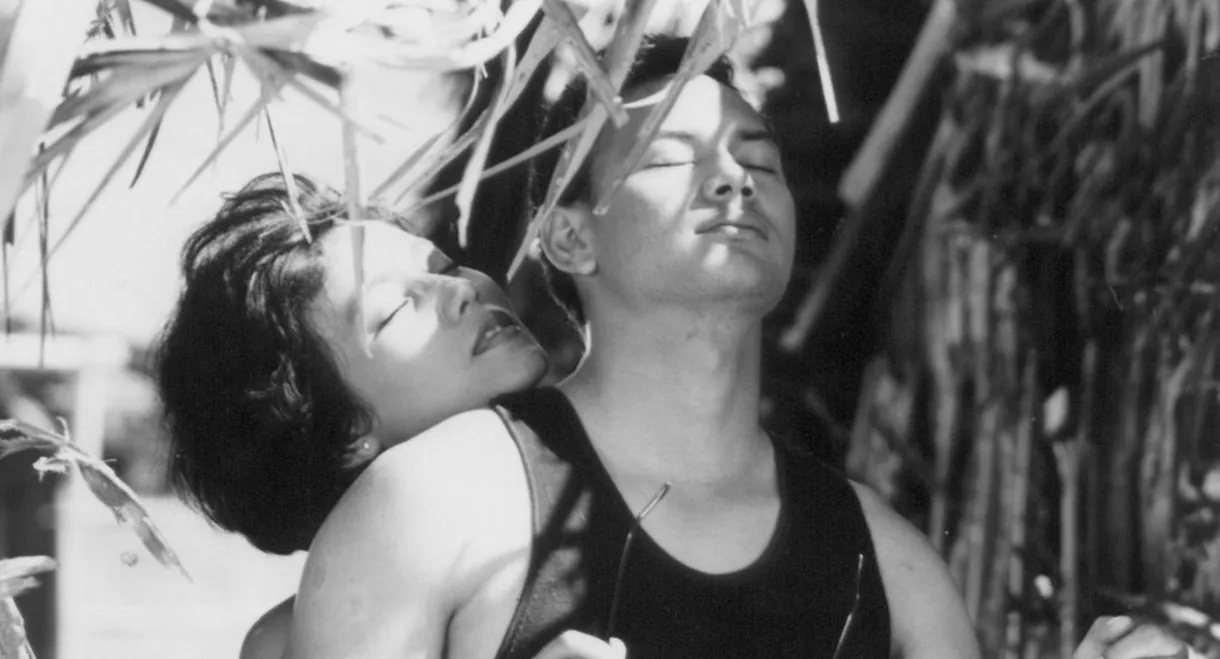 Love in a Slice of Bread