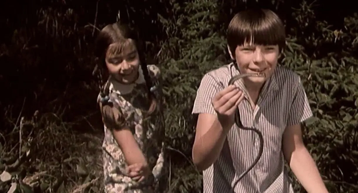 Vacations at Grandma's