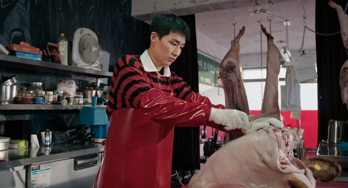 The Only Child in the Butchery