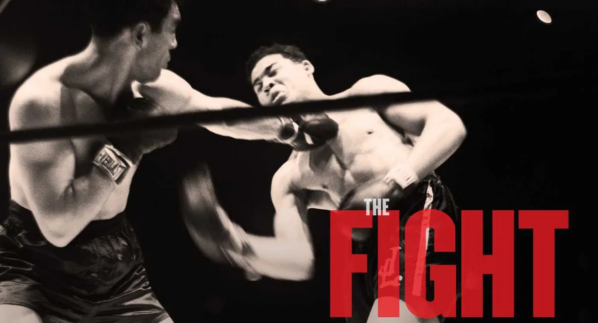 The Fight
