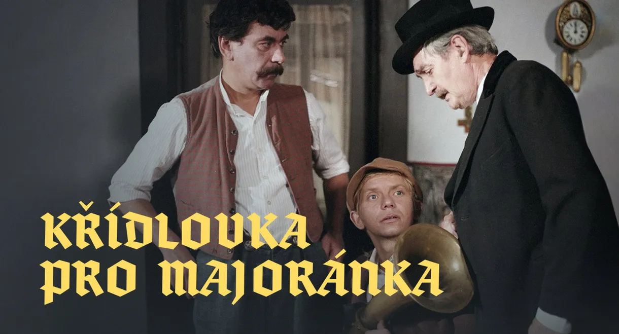 Křídlovka pro Majoránka