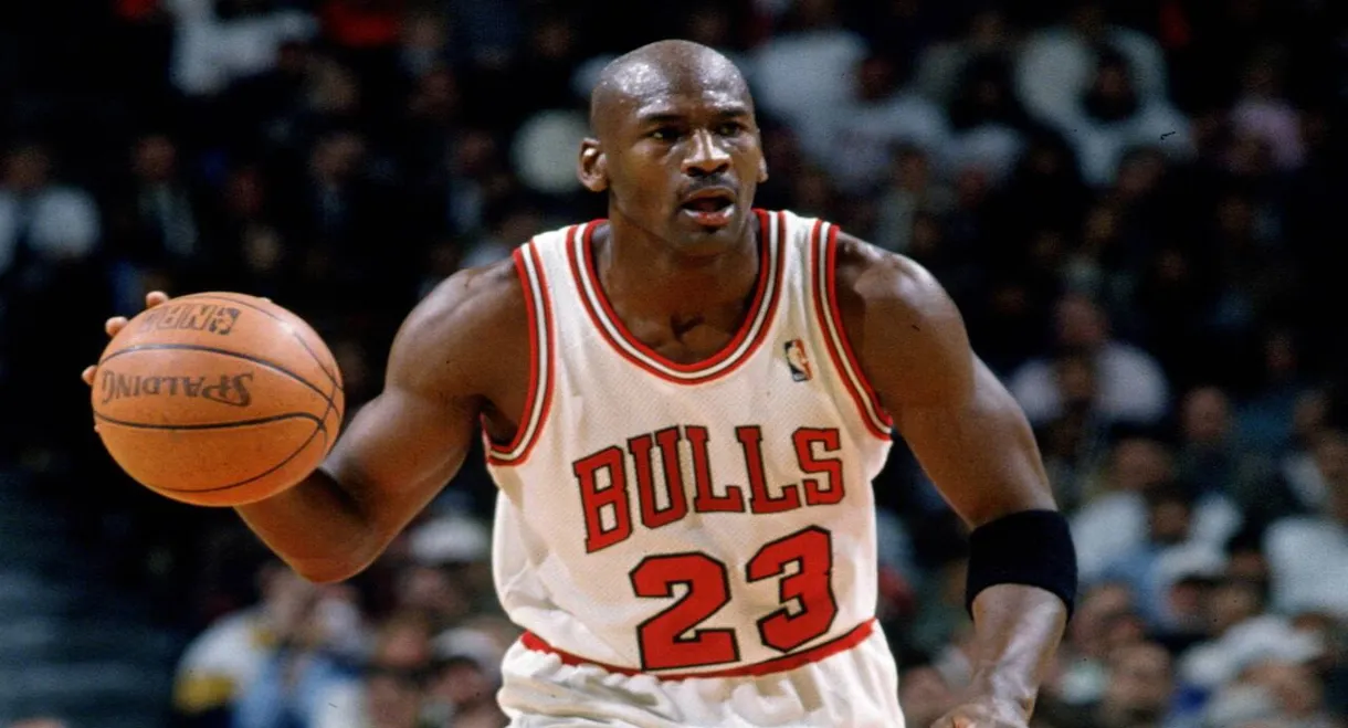 Michael Jordan to the Max
