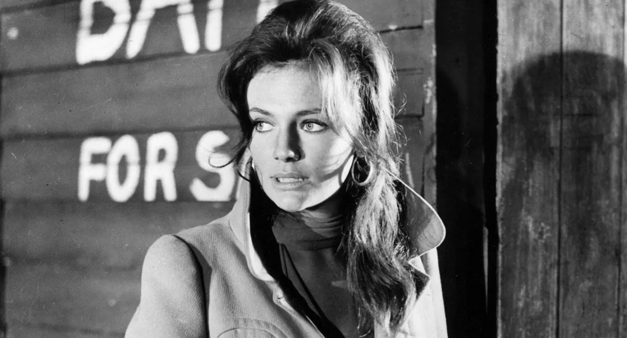 The Cape Town Affair