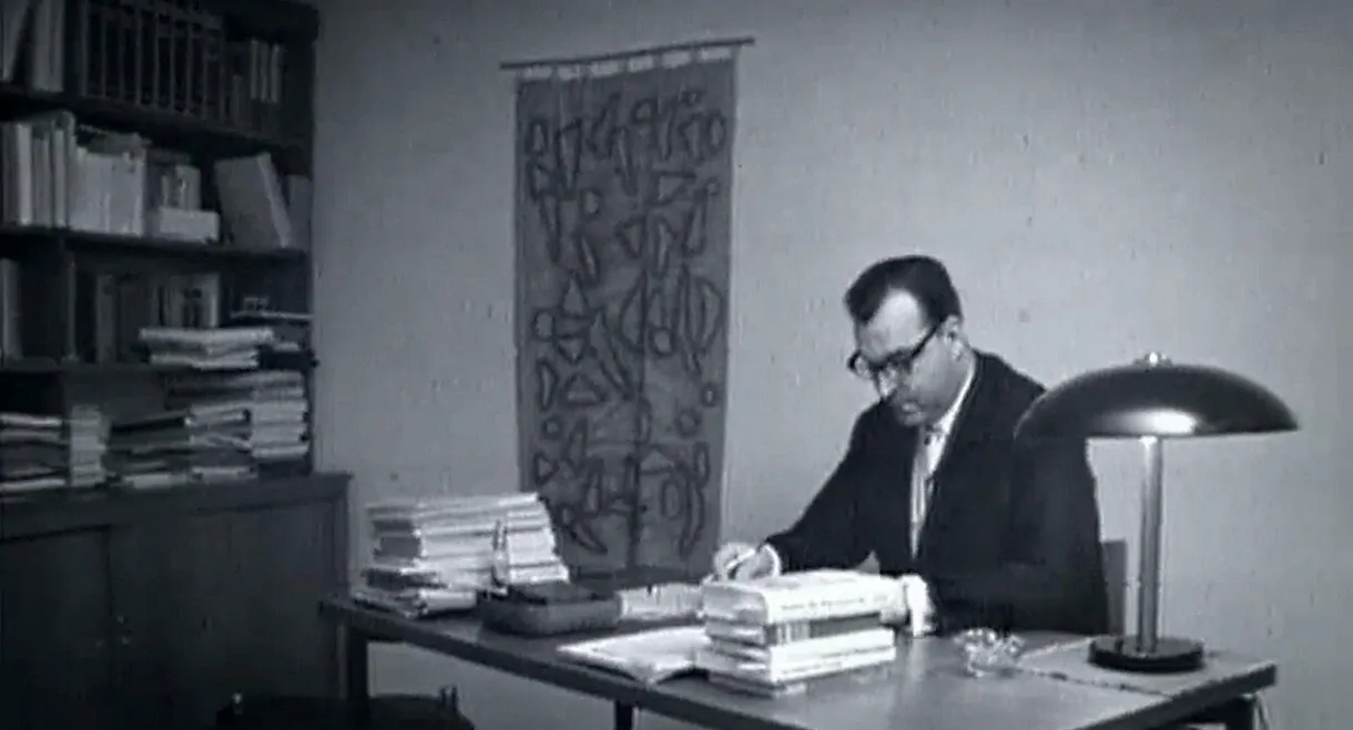 Bimbes: Die schwarzen Kassen des Helmut Kohl